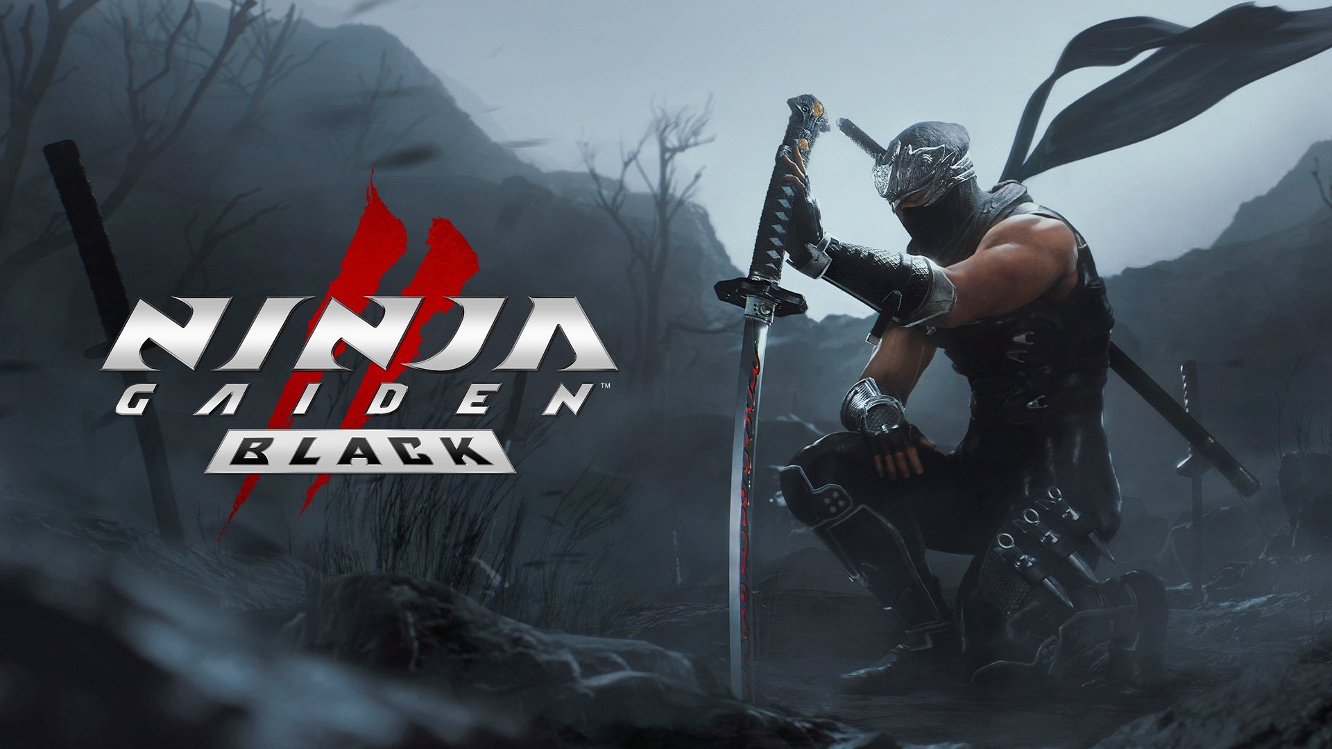 Ninja Gaiden 2 Black Announced Market